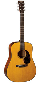 【希少モデル】Martin D-16 Adirondack Spruce top 希少モデル】Martin D-16 Adirondack Spruce top
